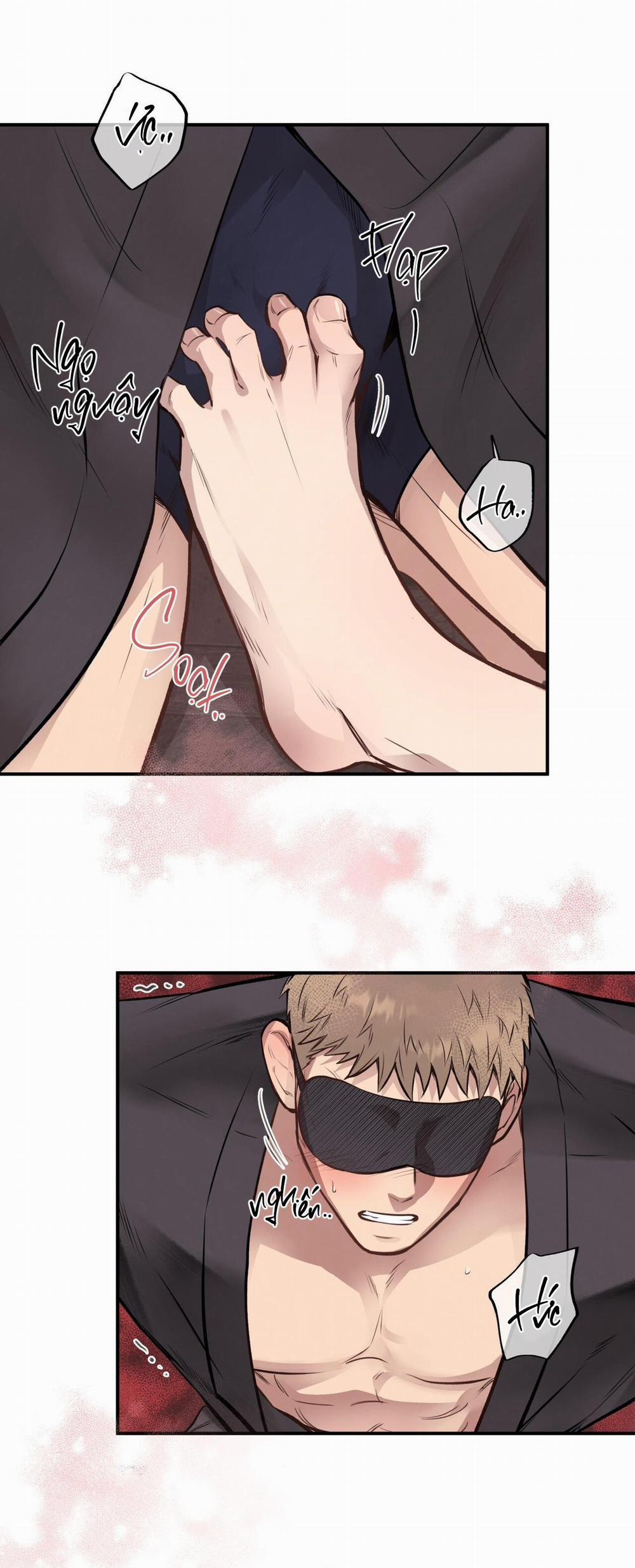 Honey Bear 18 trang 23