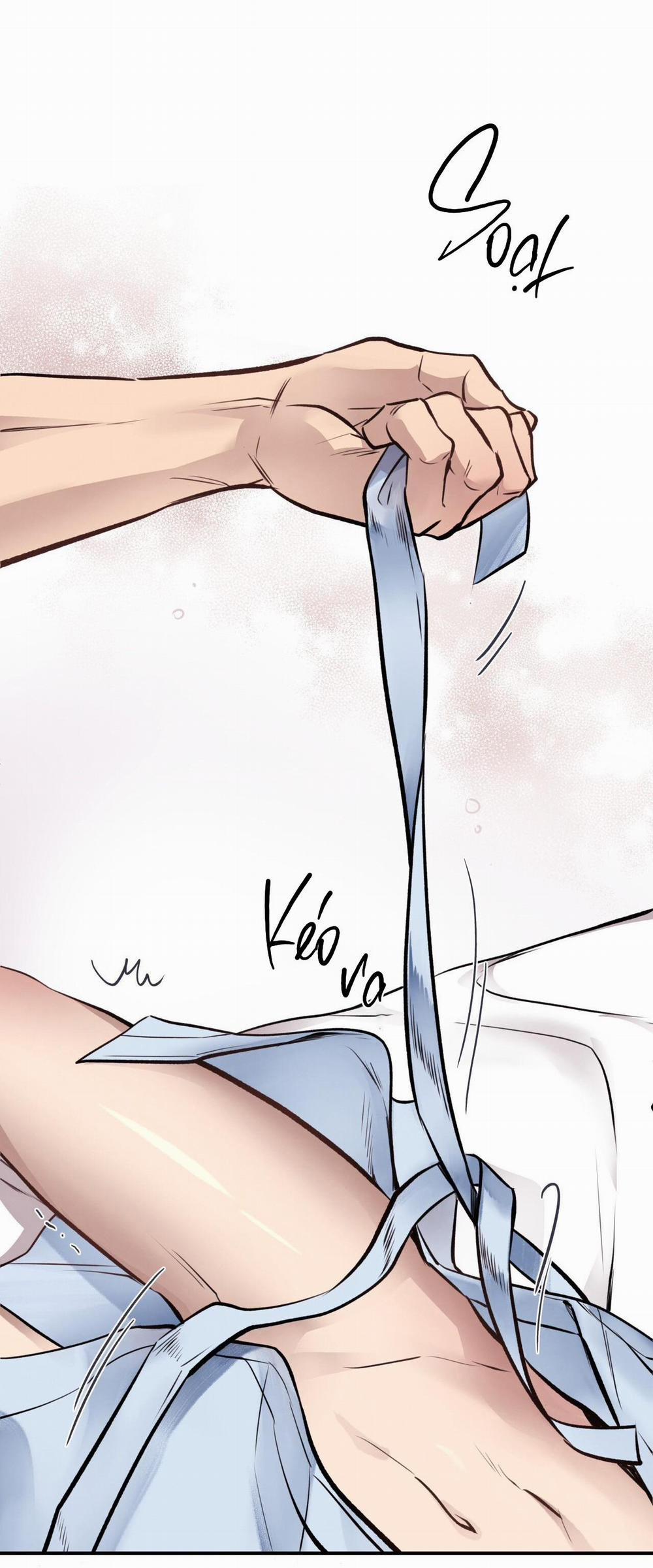 Honey Bear 18 trang 47