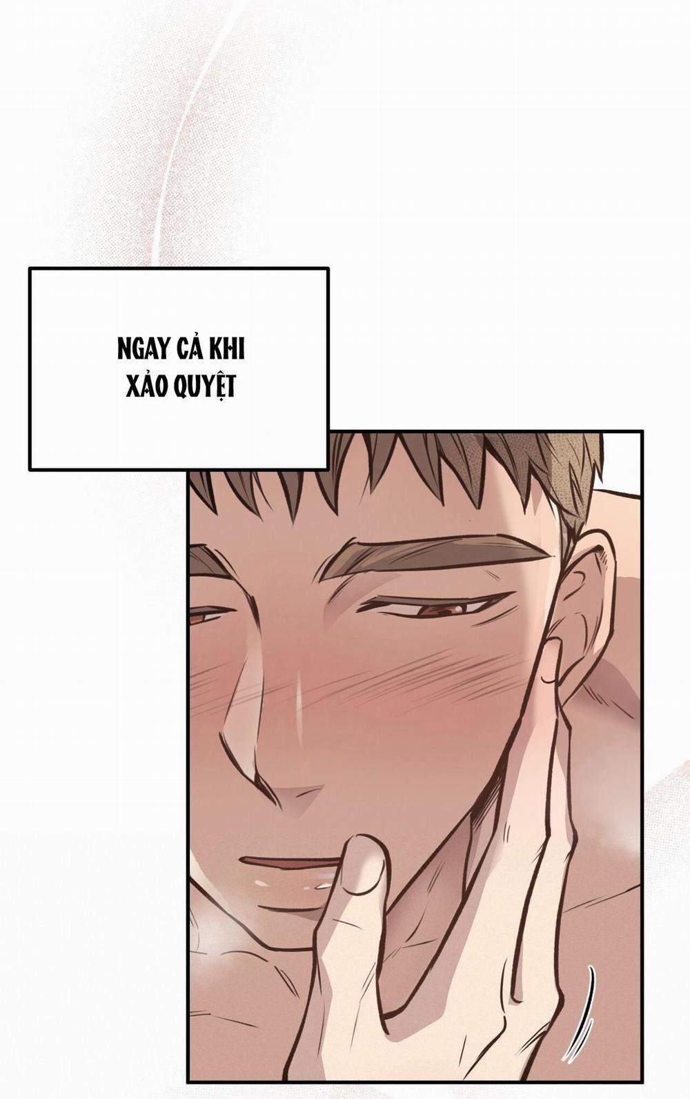 Honey Bear 19 trang 11