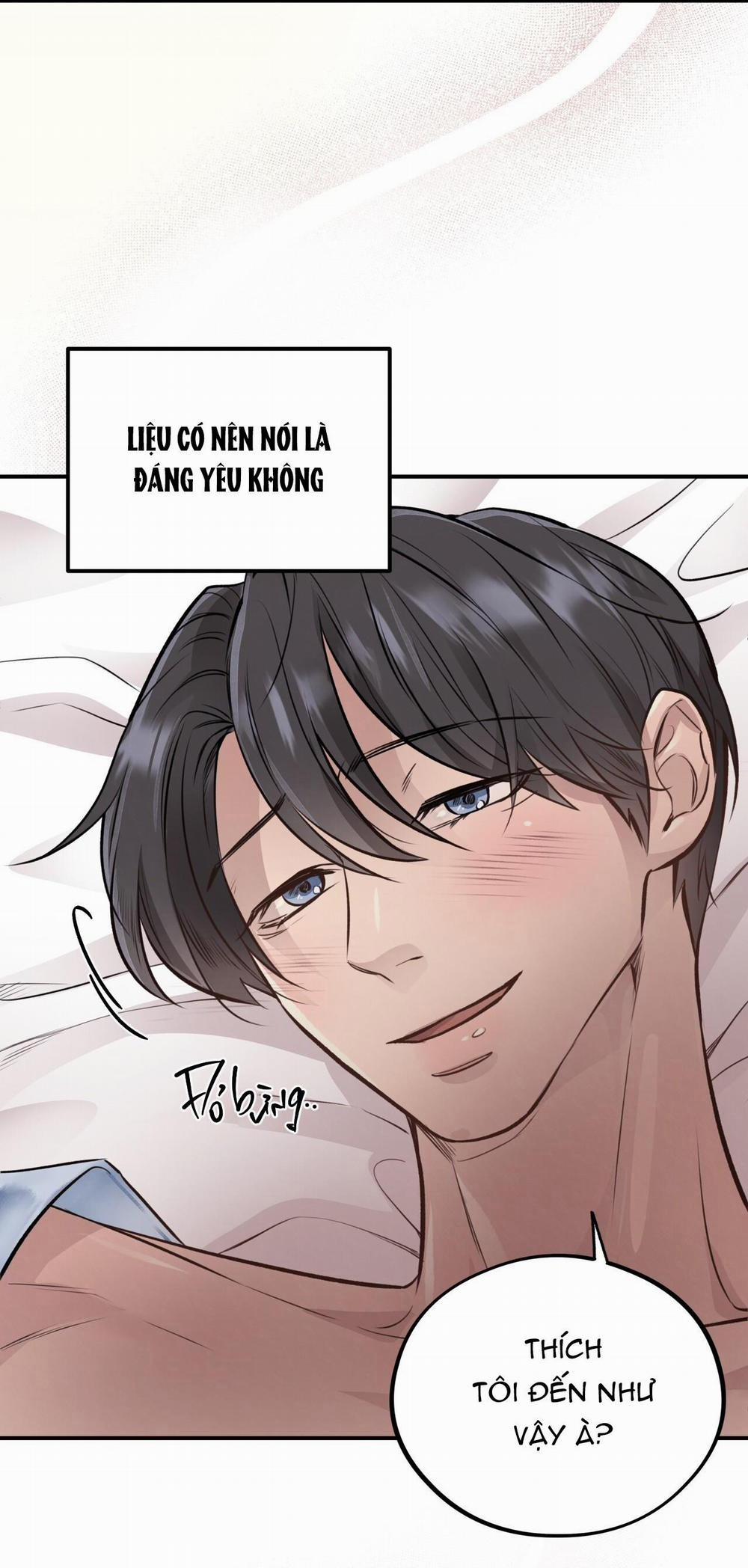 Honey Bear 19 trang 13