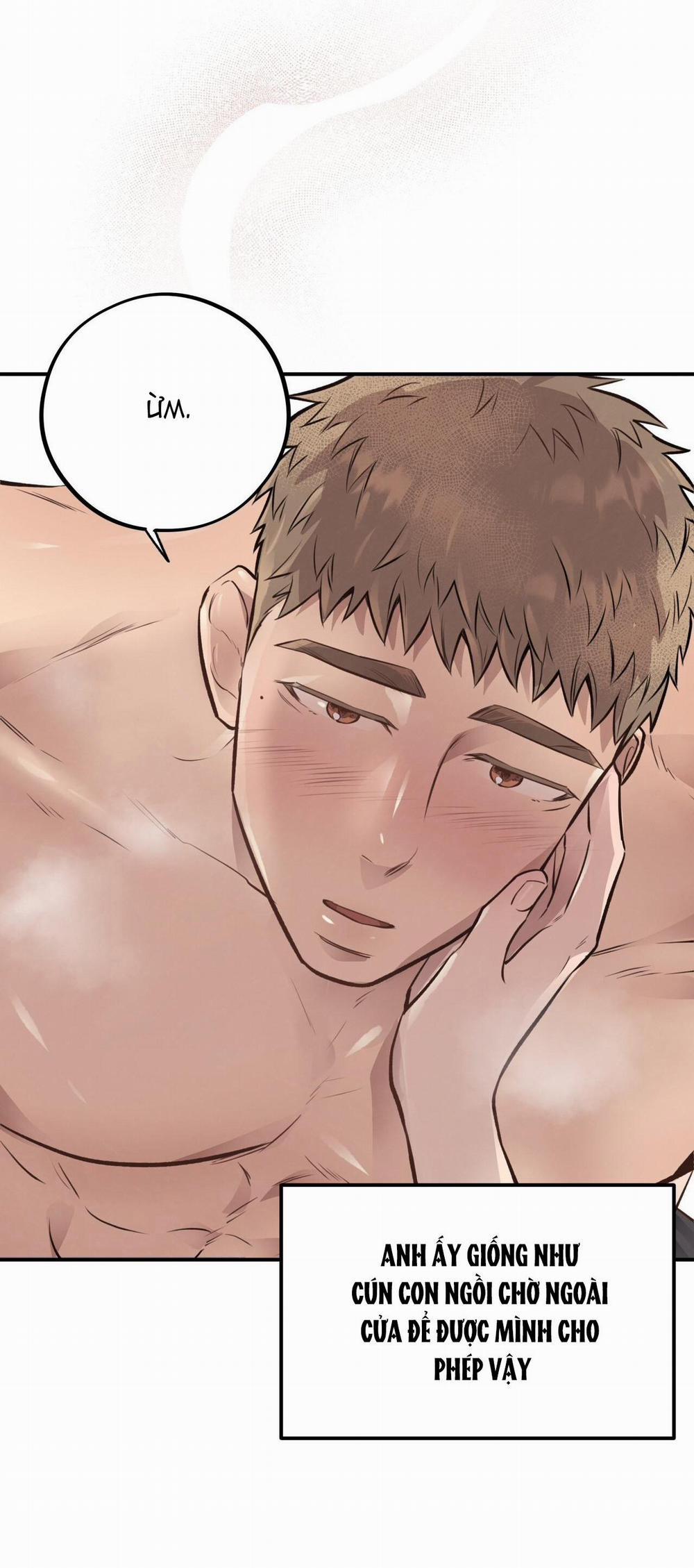 Honey Bear 19 trang 14