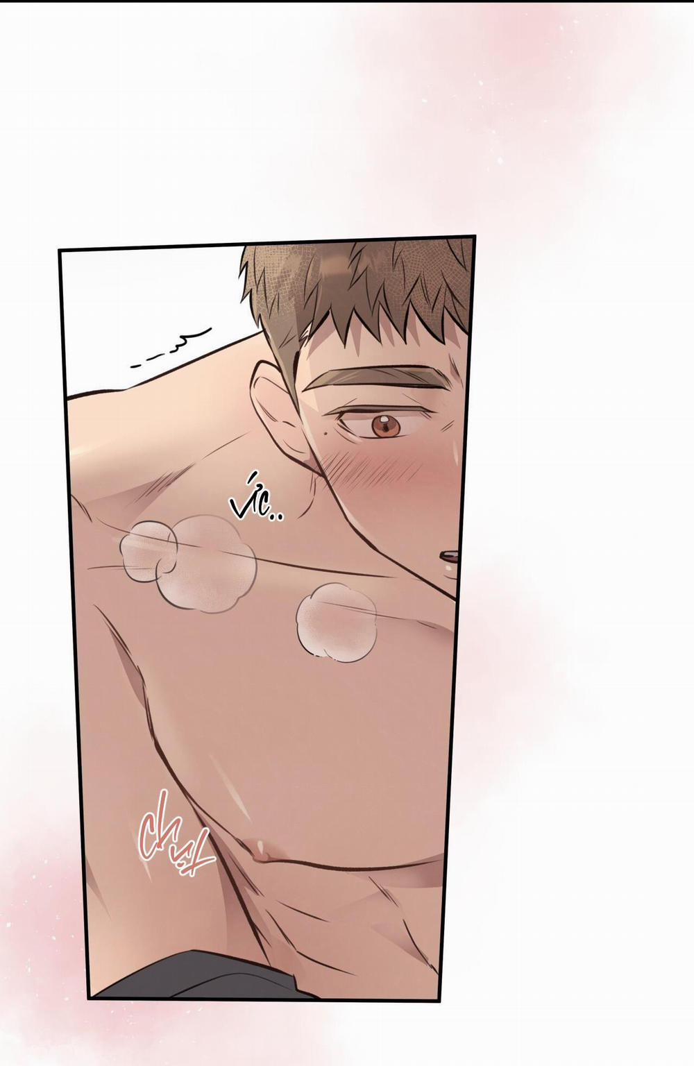 Honey Bear 19 trang 19