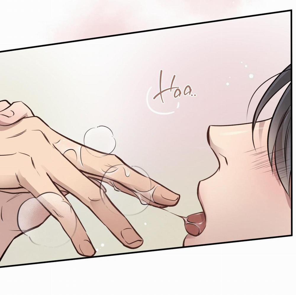 Honey Bear 19 trang 21