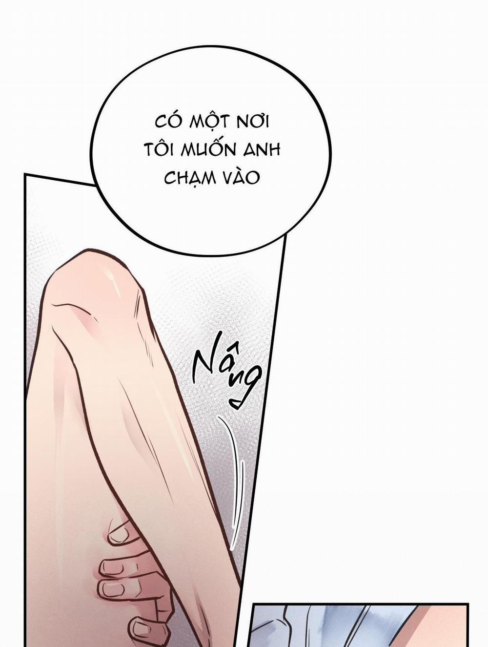 Honey Bear 19 trang 22