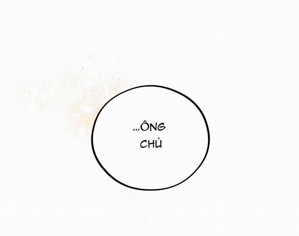 Honey Bear 19 trang 36