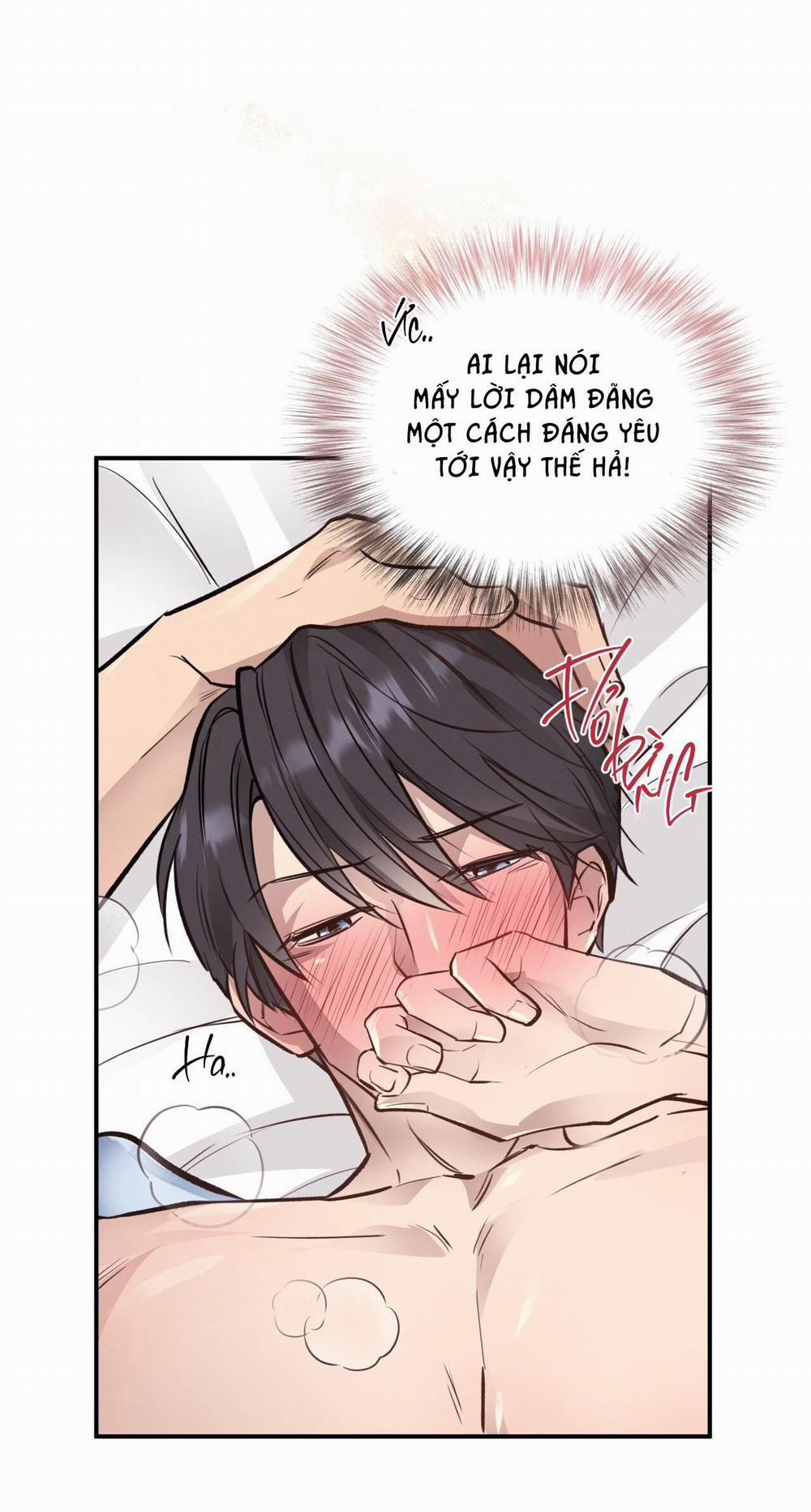 Honey Bear 19 trang 41