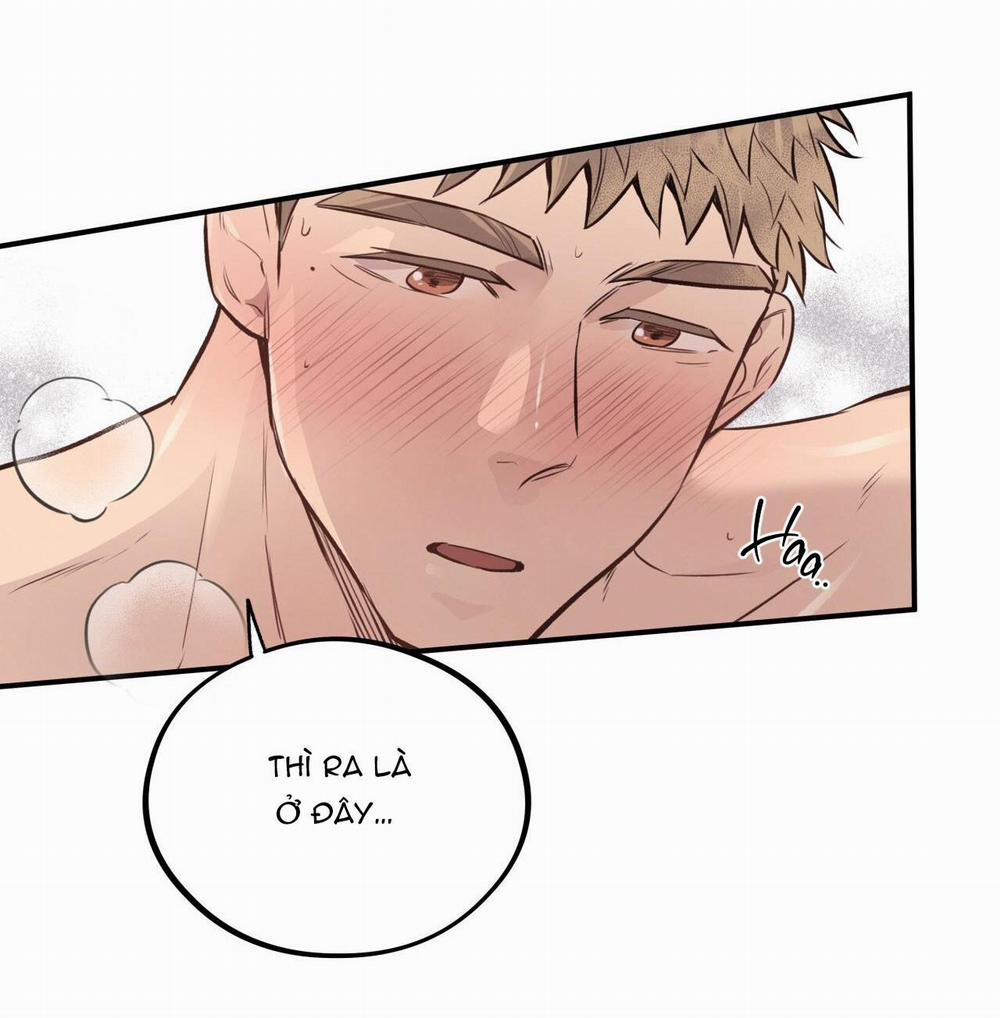 Honey Bear 19 trang 47