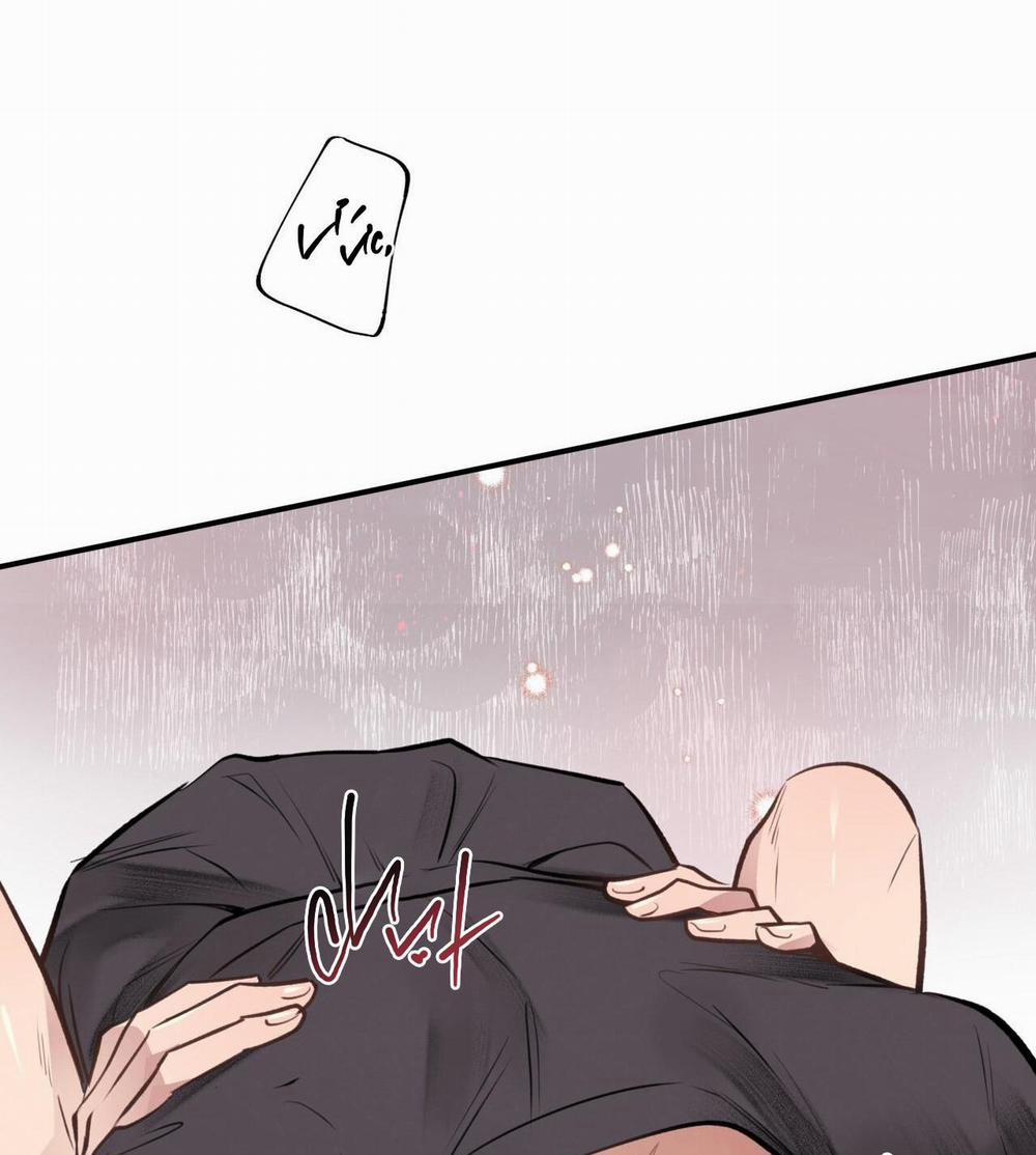 Honey Bear 19 trang 5