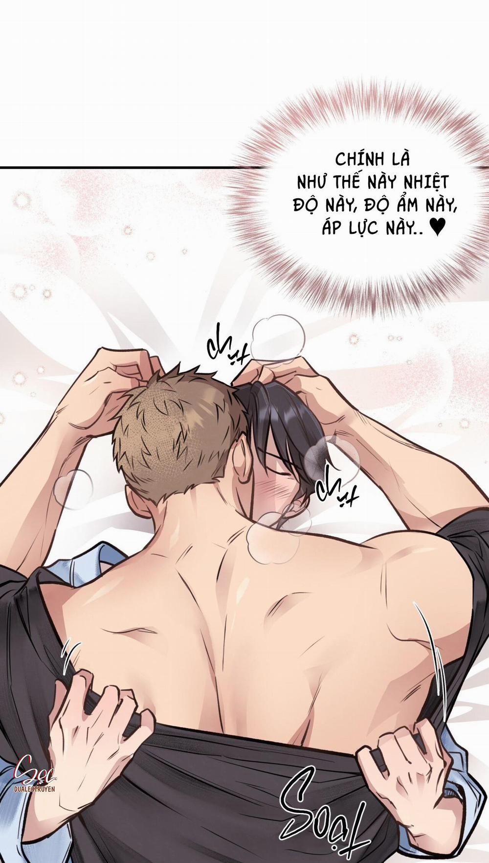 Honey Bear 19 trang 7