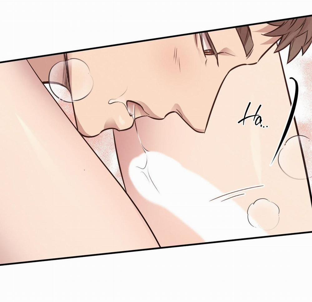 Honey Bear 19 trang 81