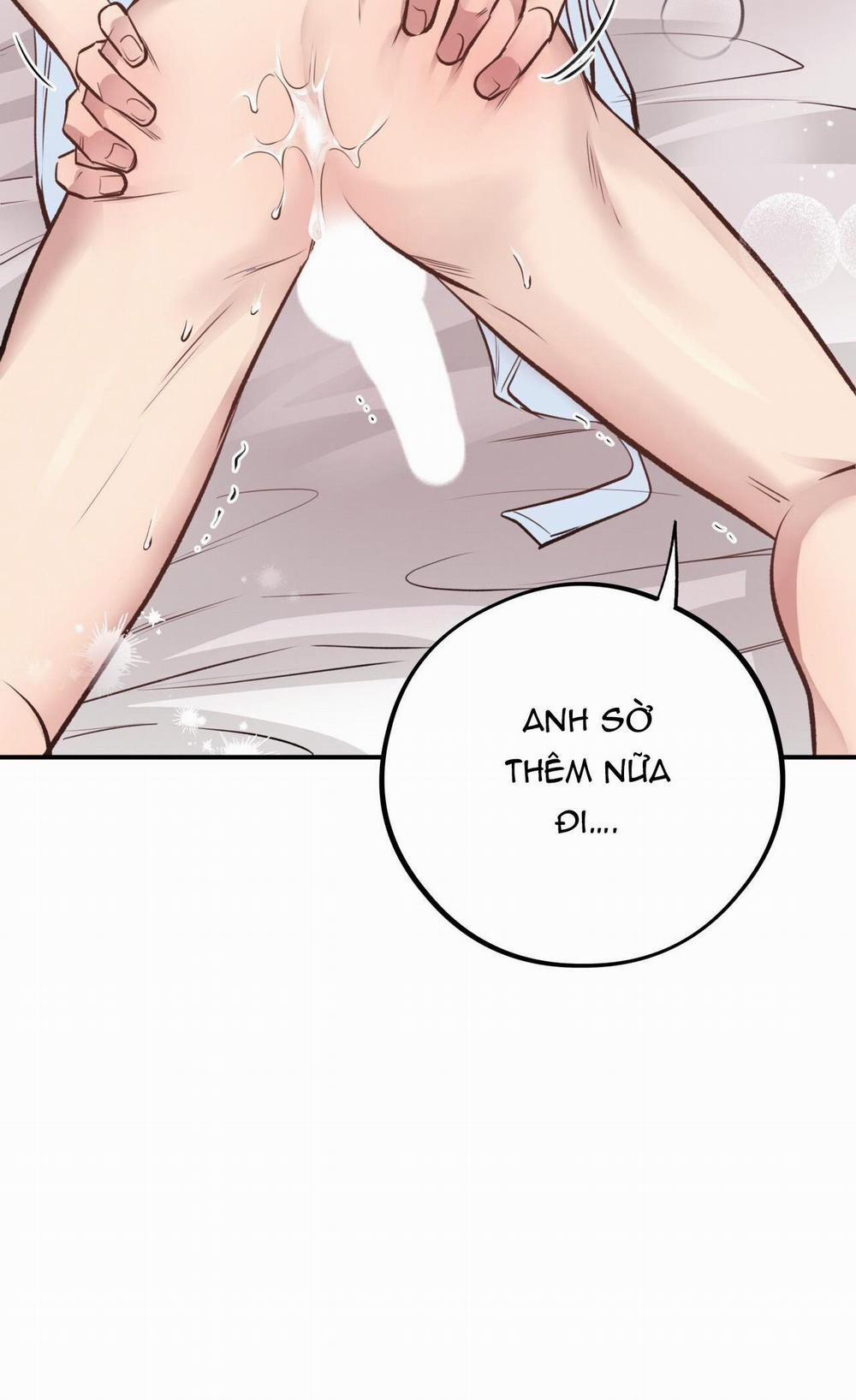 Honey Bear 19 trang 95