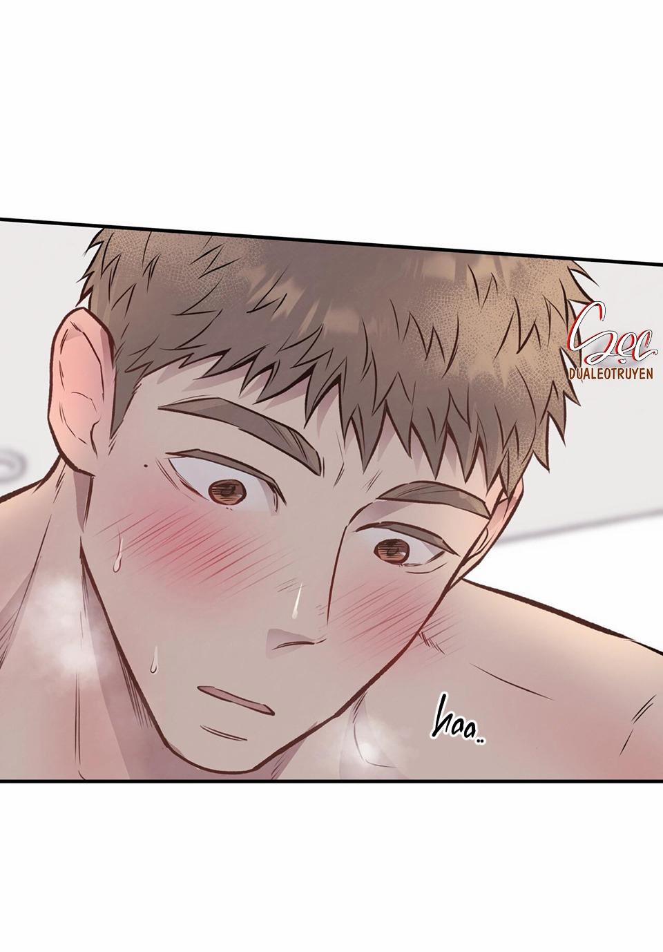 Honey Bear 20 trang 3