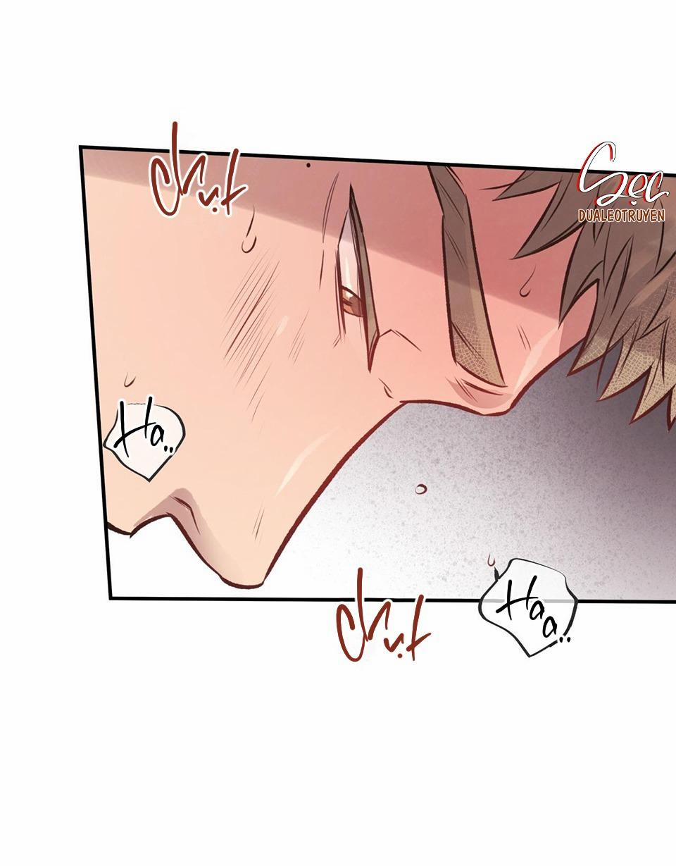 Honey Bear 20 trang 31