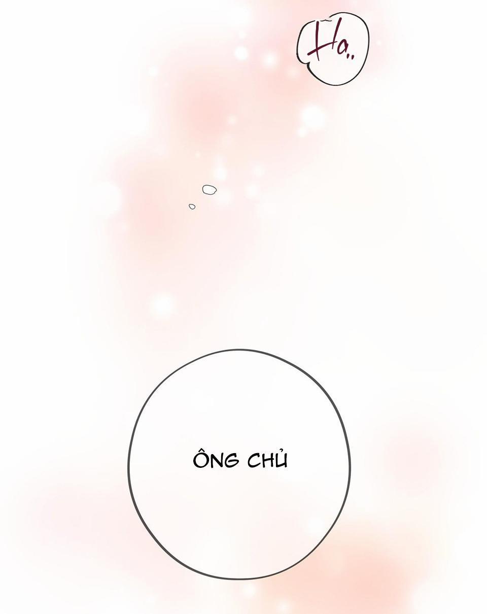 Honey Bear 20 trang 46