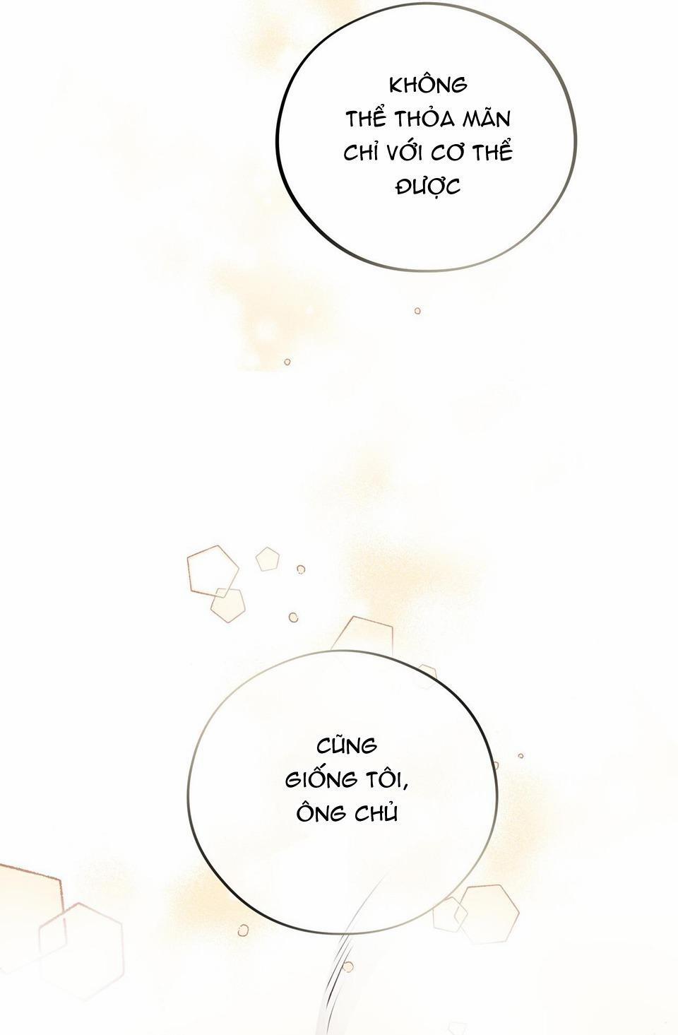 Honey Bear 20 trang 51