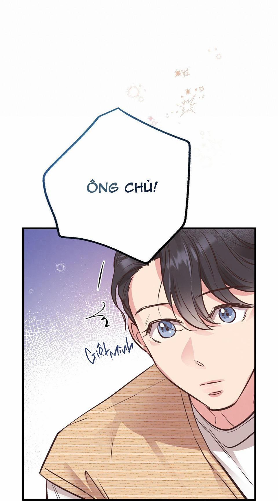 Honey Bear 21 trang 11