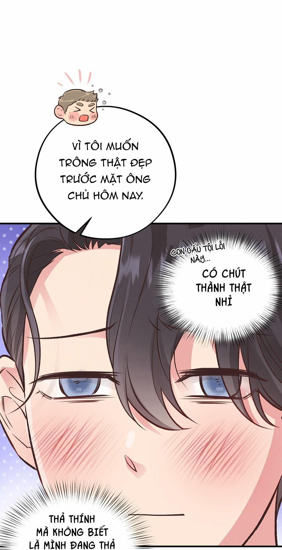 Honey Bear 21 trang 25