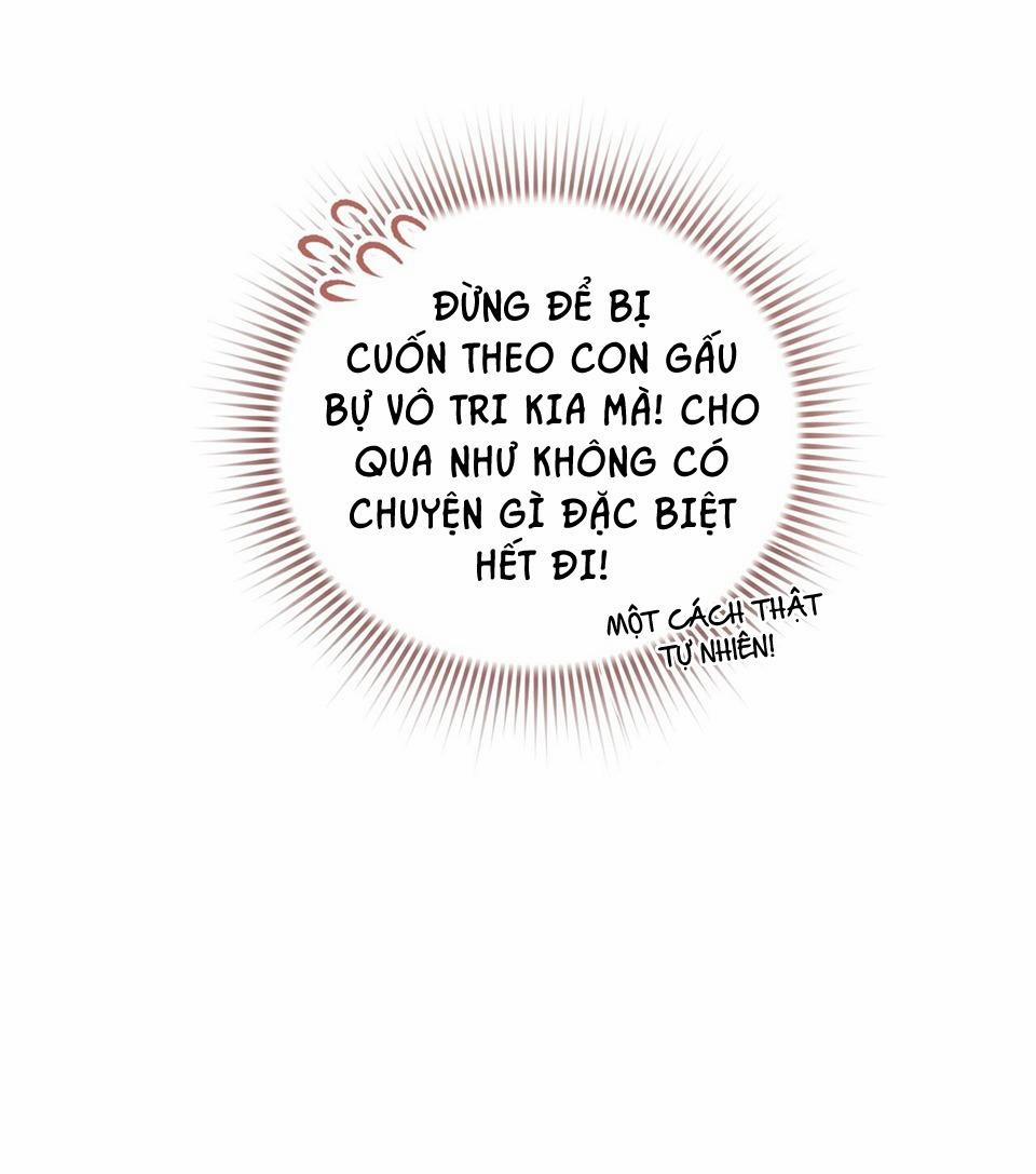 Honey Bear 21 trang 28