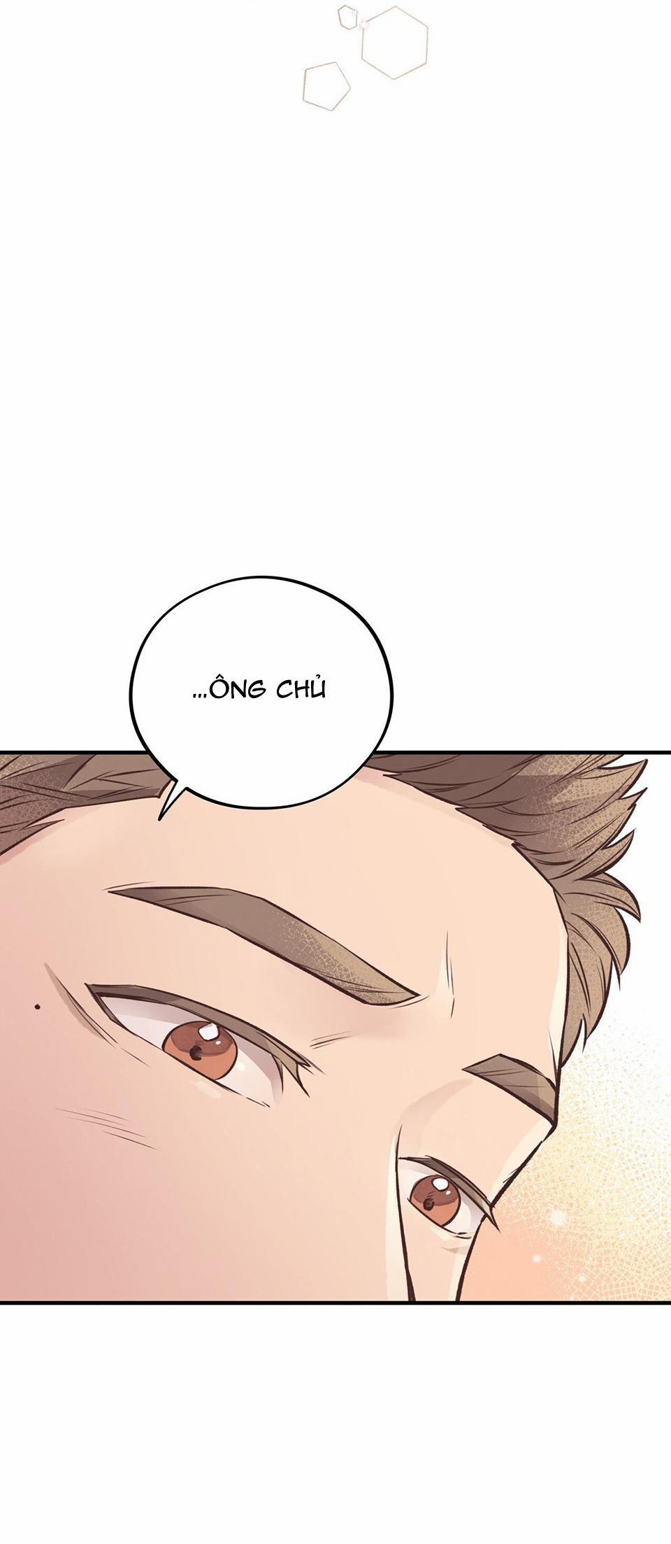 Honey Bear 21 trang 42