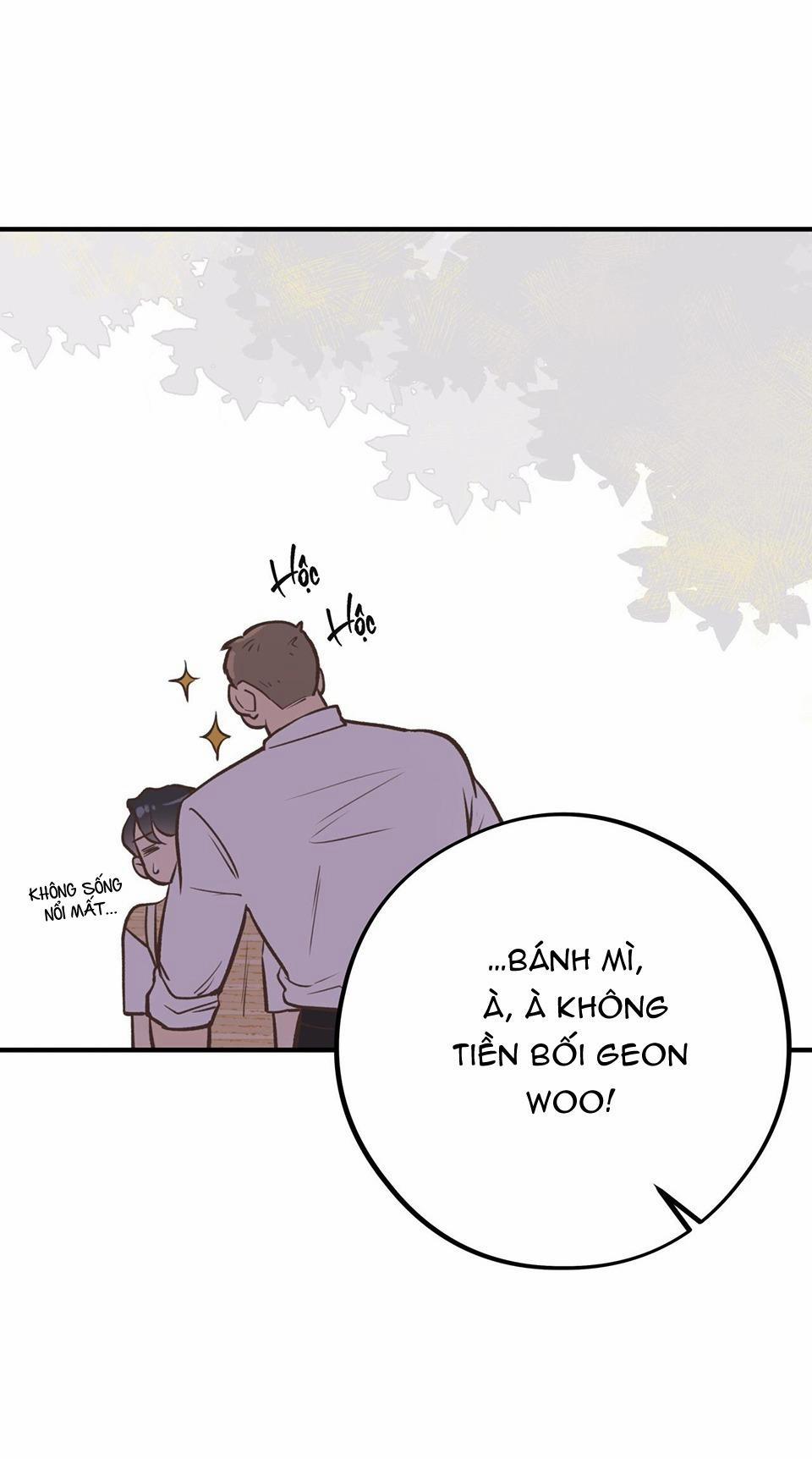 Honey Bear 21 trang 44