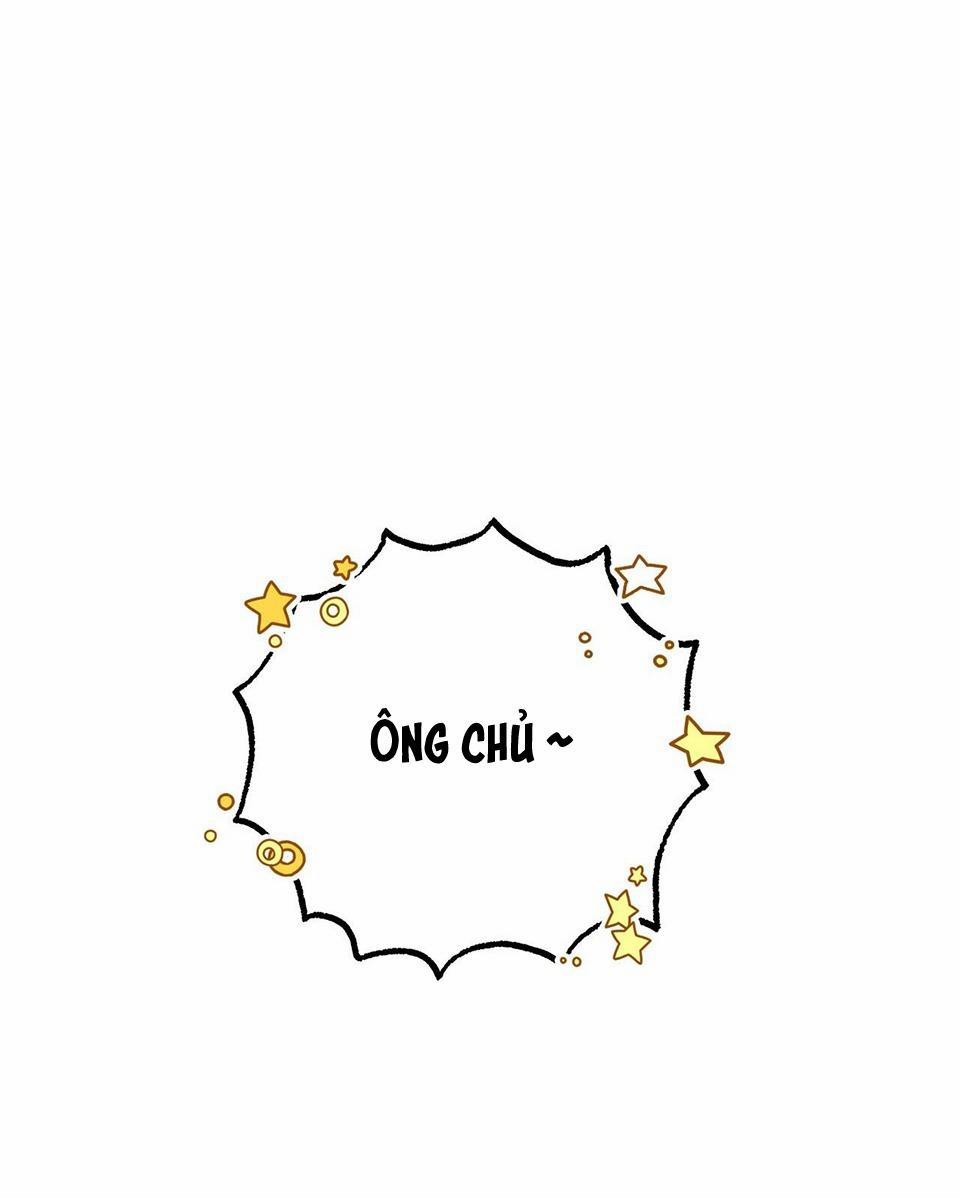 Honey Bear 21 trang 67