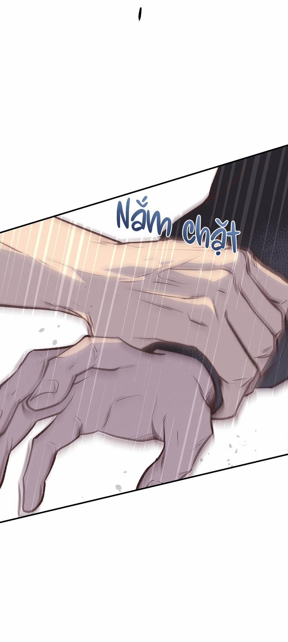 Honey Bear 21 trang 76