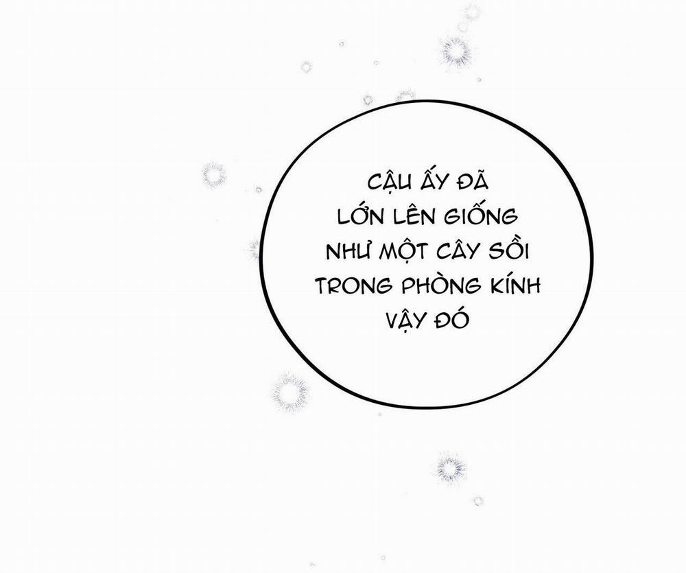 Honey Bear 22 trang 40