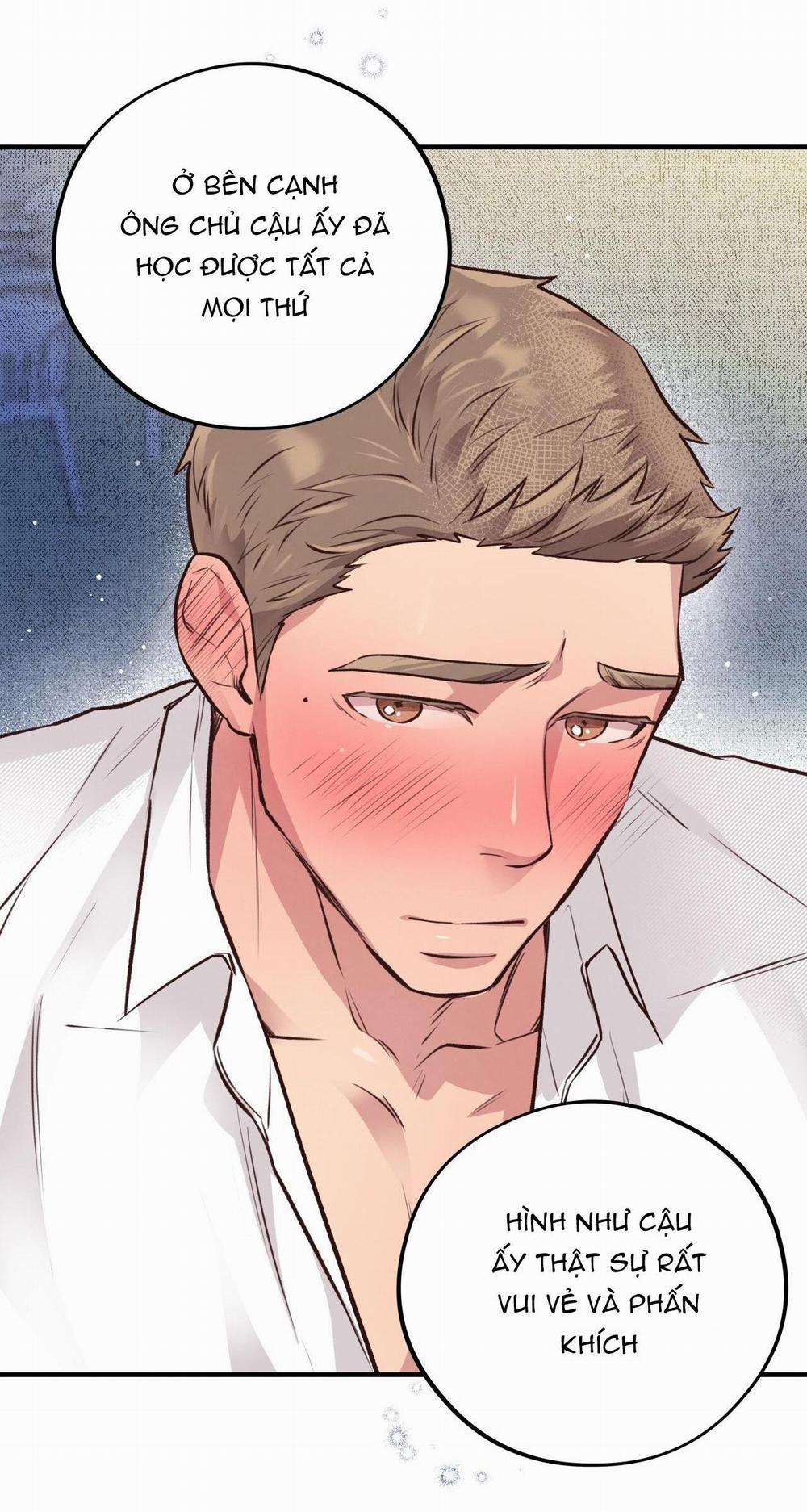 Honey Bear 22 trang 41