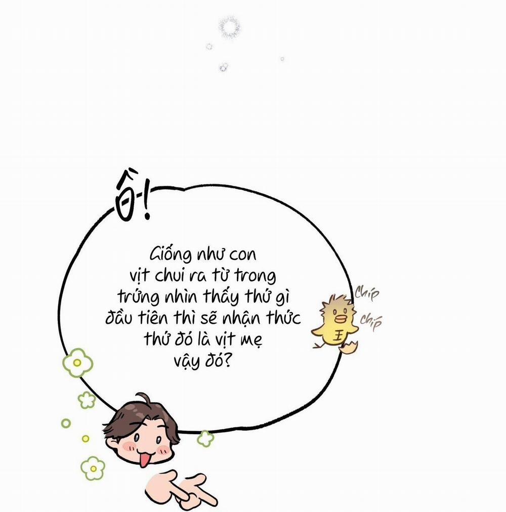 Honey Bear 22 trang 42