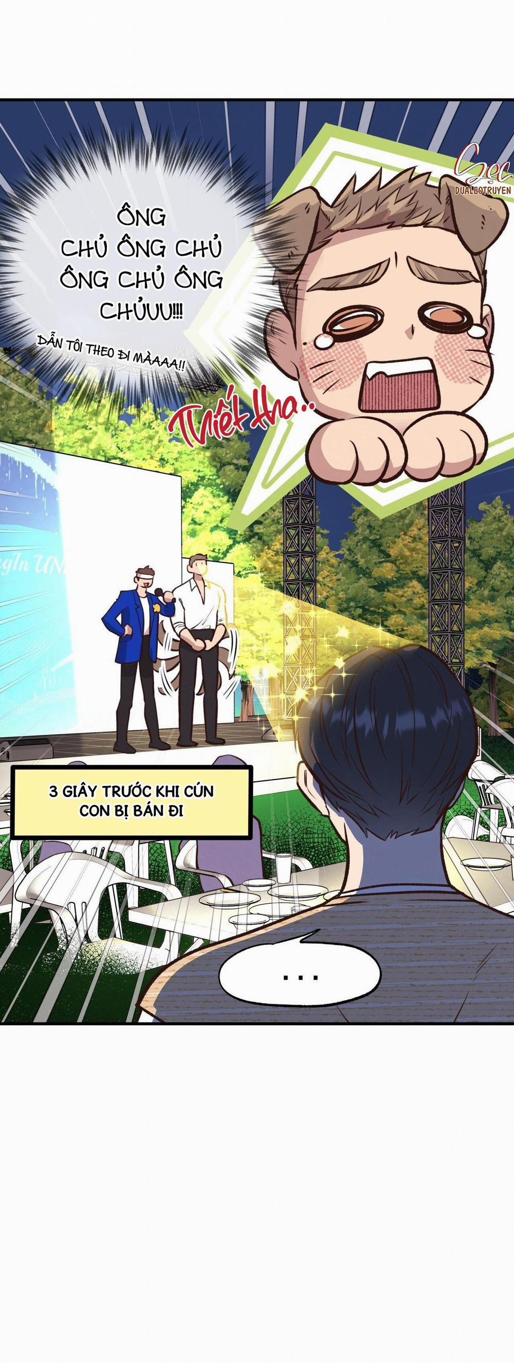 Honey Bear 23 trang 36