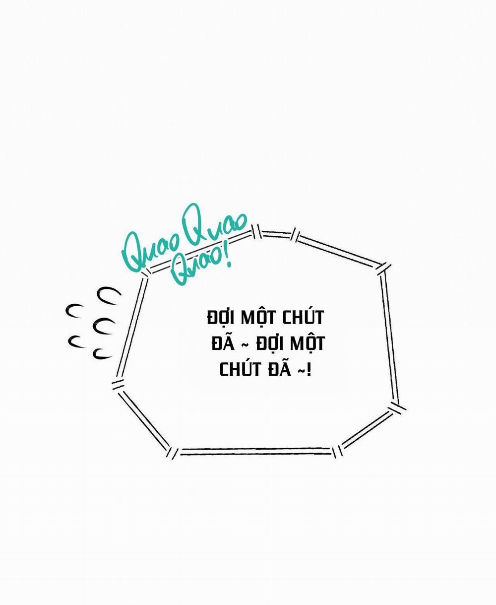 Honey Bear 23 trang 45