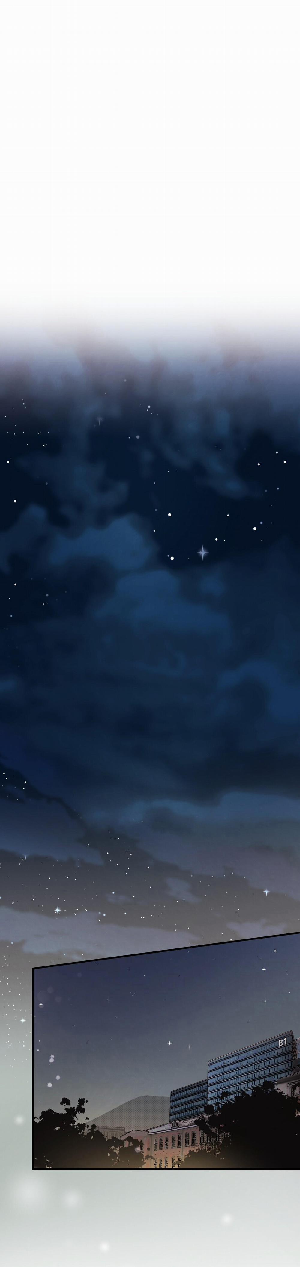 Honey Bear 24 trang 1