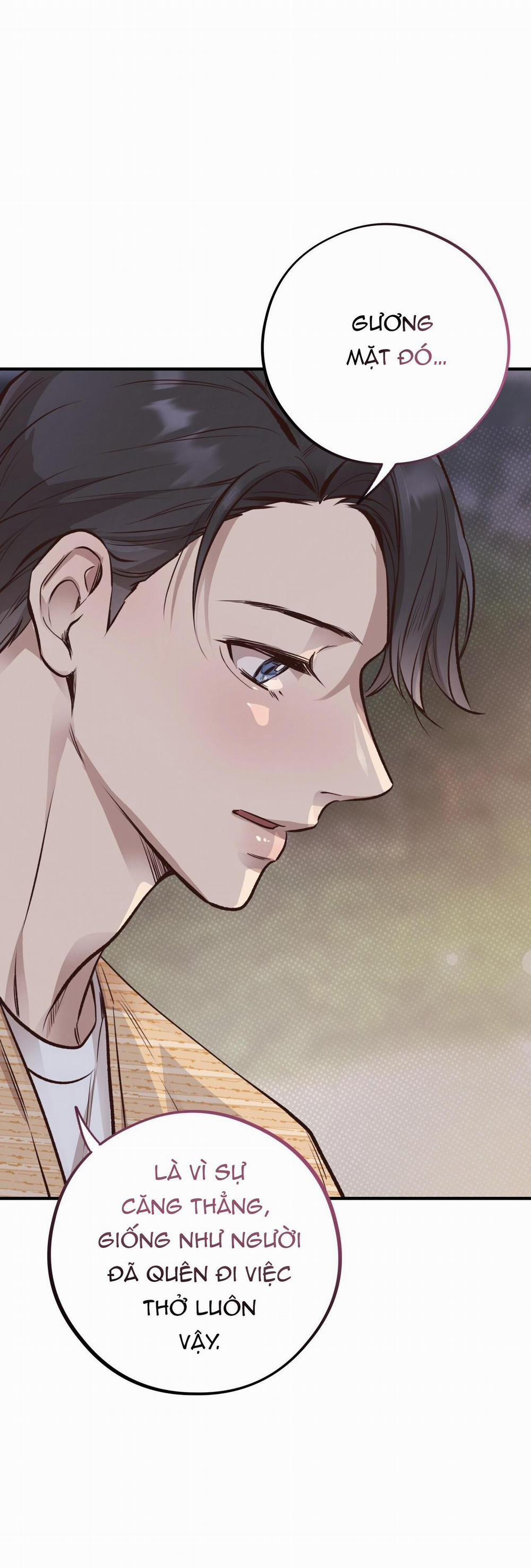 Honey Bear 24 trang 12