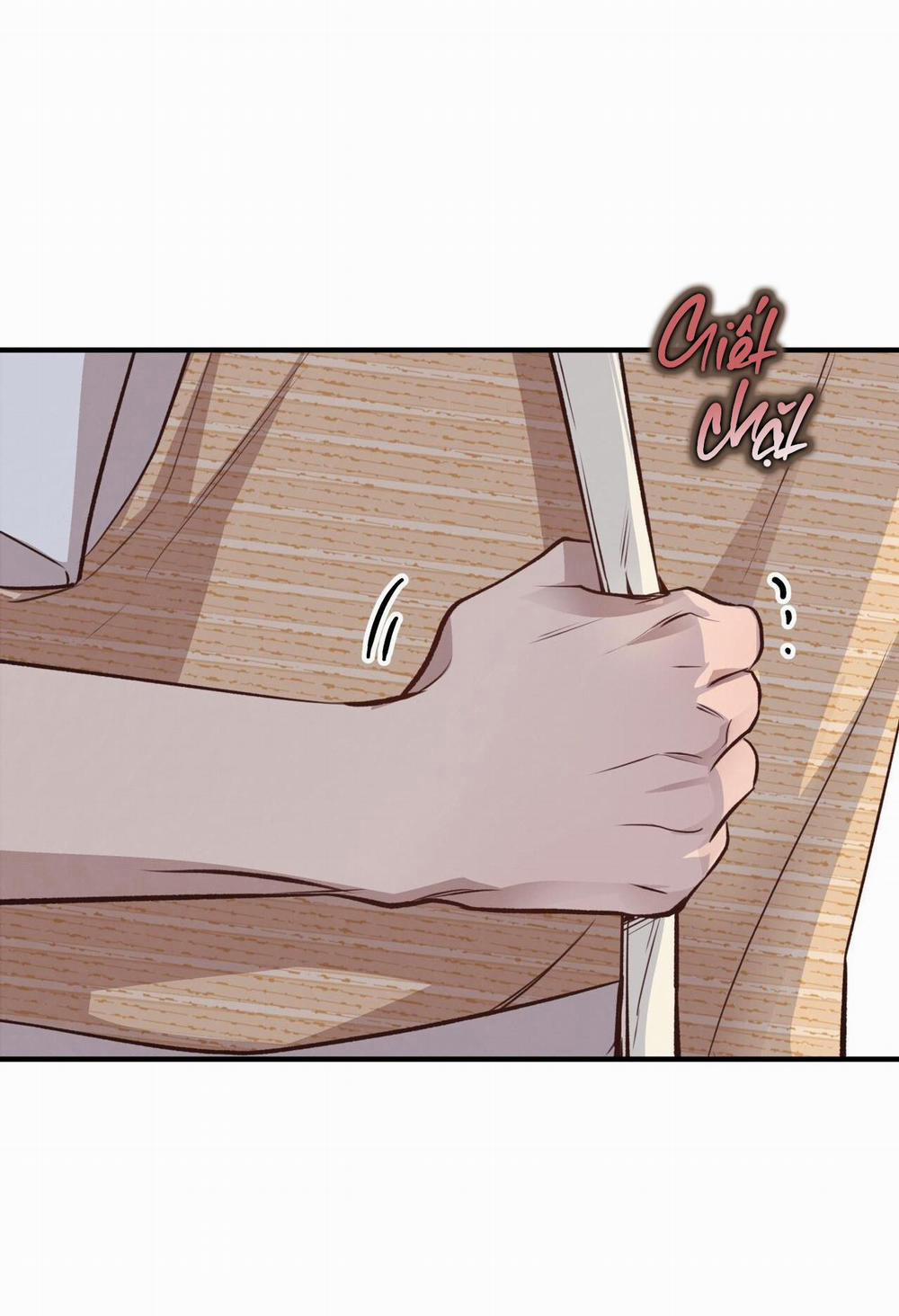 Honey Bear 24 trang 16