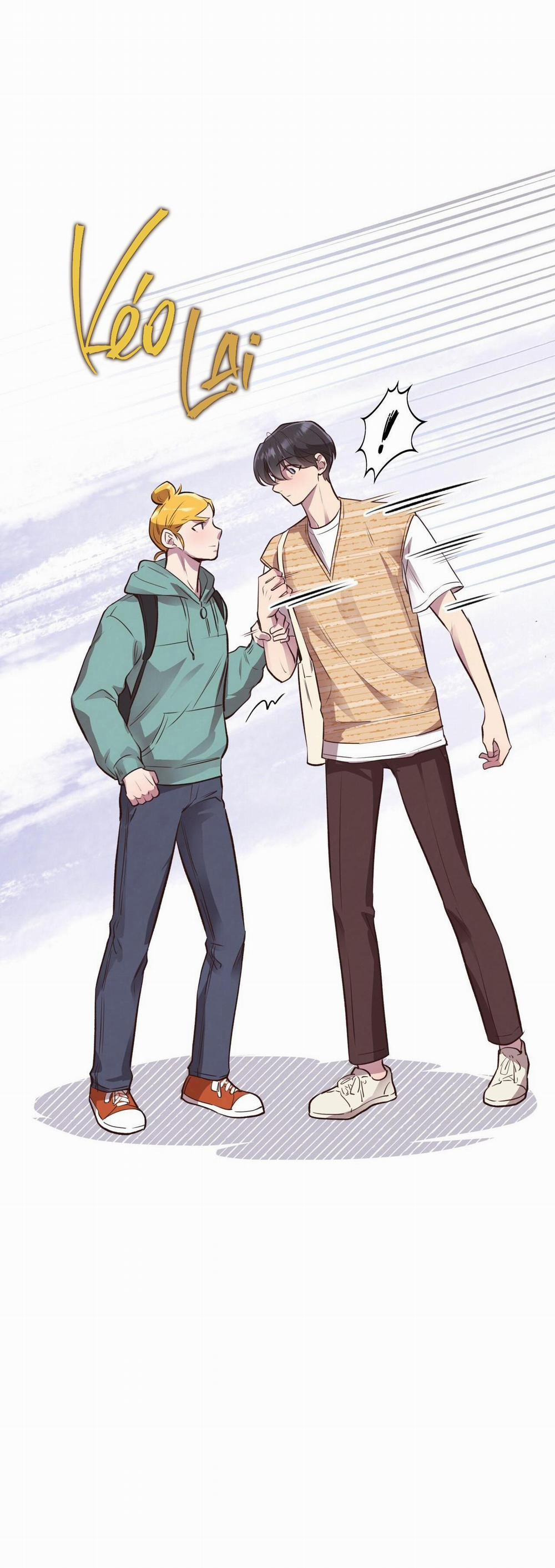 Honey Bear 24 trang 19