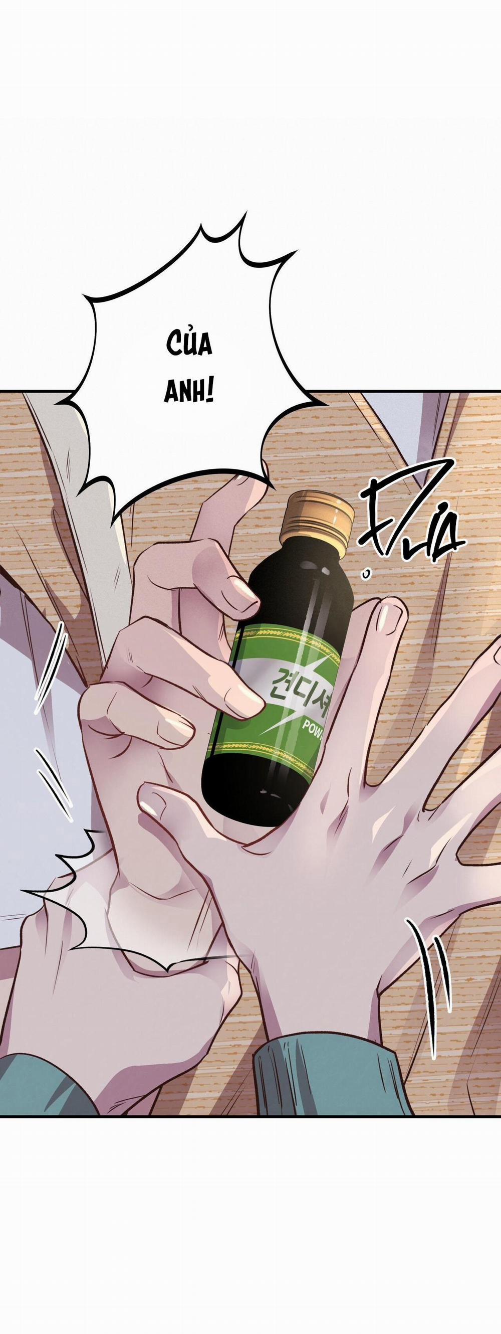 Honey Bear 24 trang 23