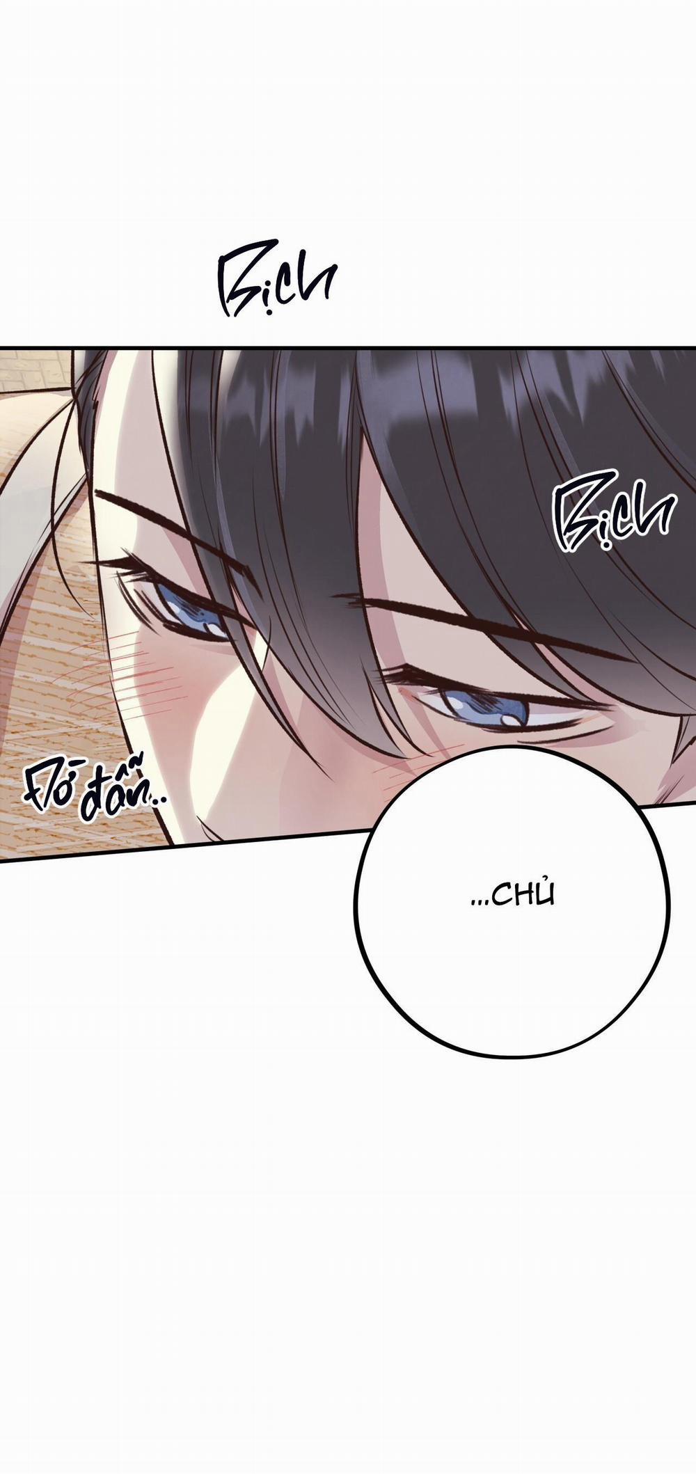 Honey Bear 24 trang 3