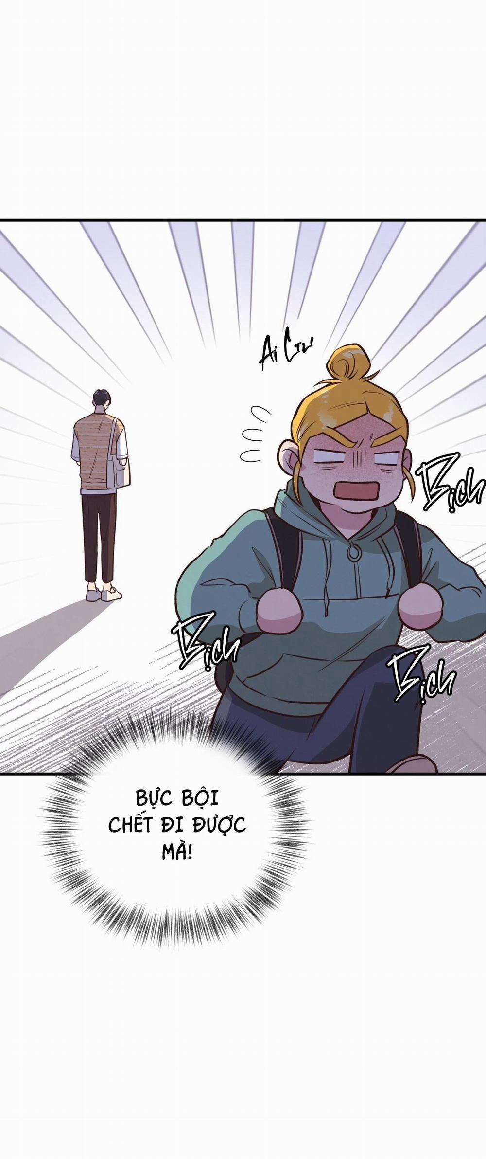 Honey Bear 24 trang 31