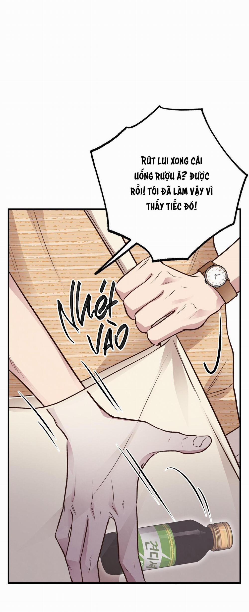 Honey Bear 24 trang 37