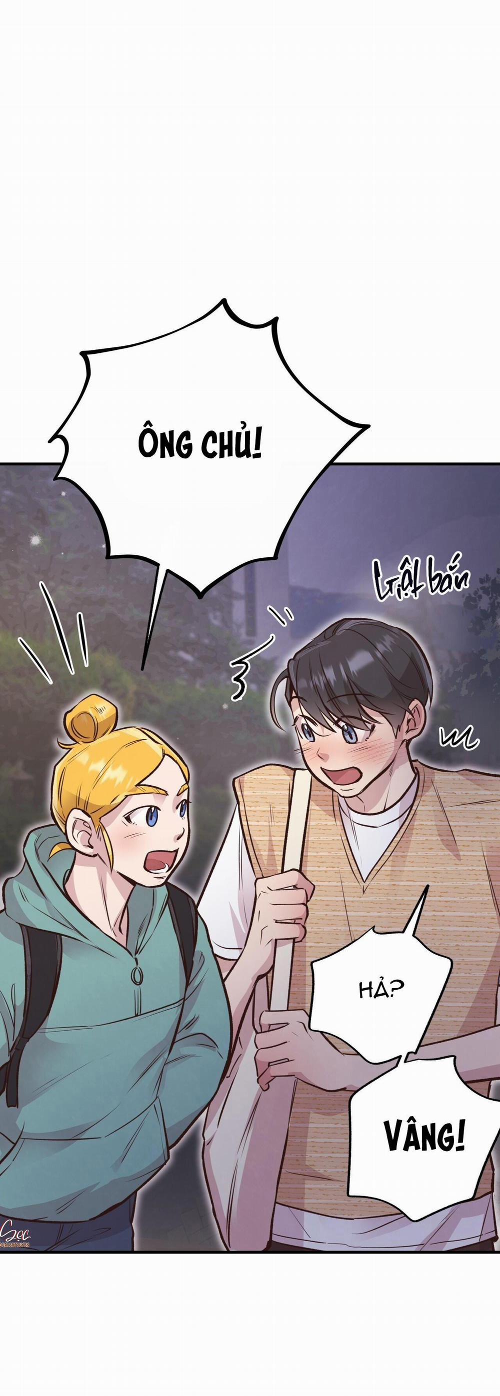 Honey Bear 24 trang 4