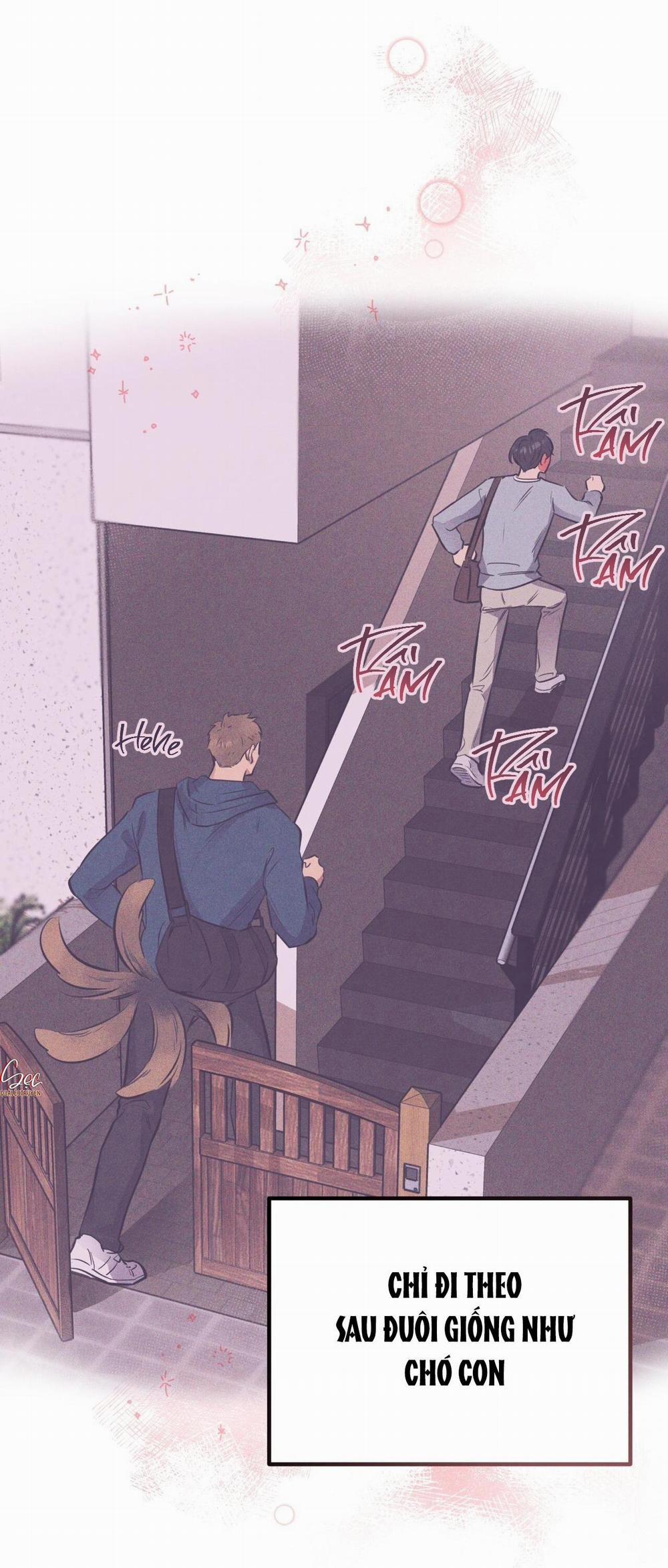 Honey Bear 24 trang 45