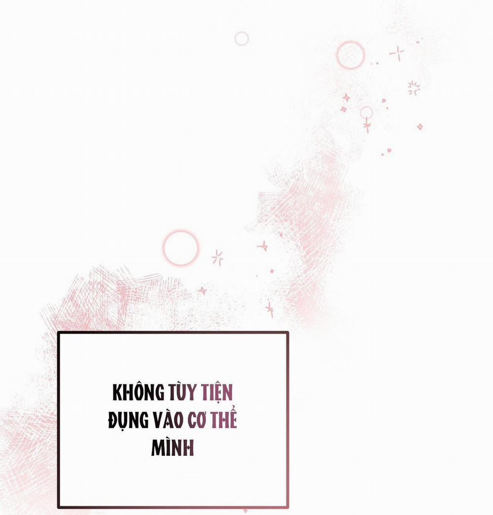 Honey Bear 24 trang 46