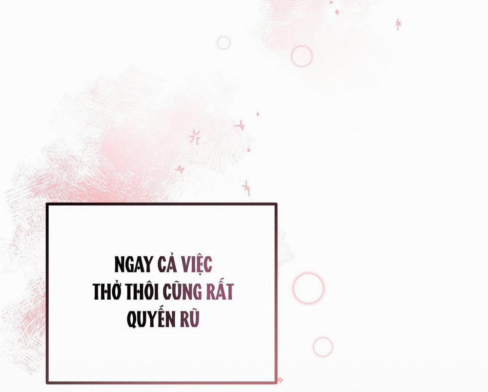 Honey Bear 24 trang 49