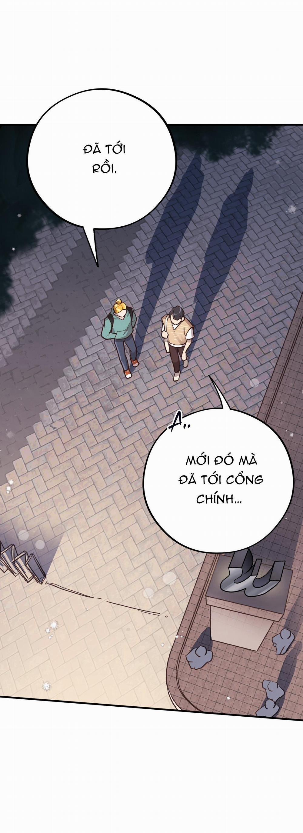 Honey Bear 24 trang 5