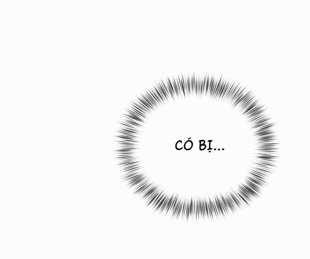 Honey Bear 24 trang 60