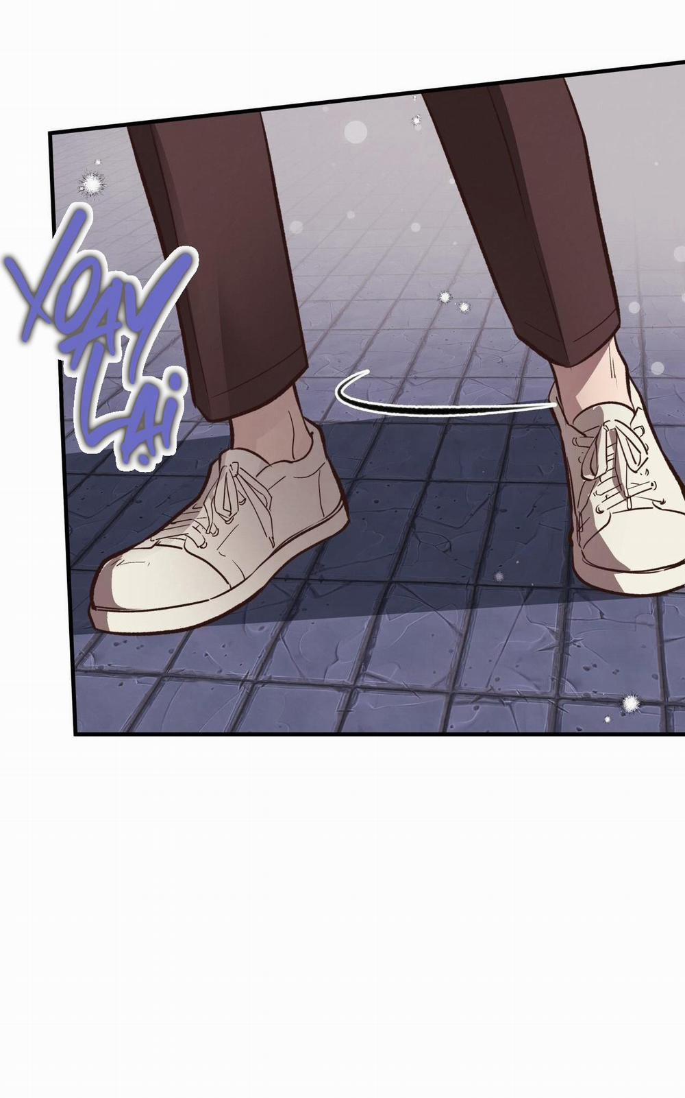 Honey Bear 24 trang 63