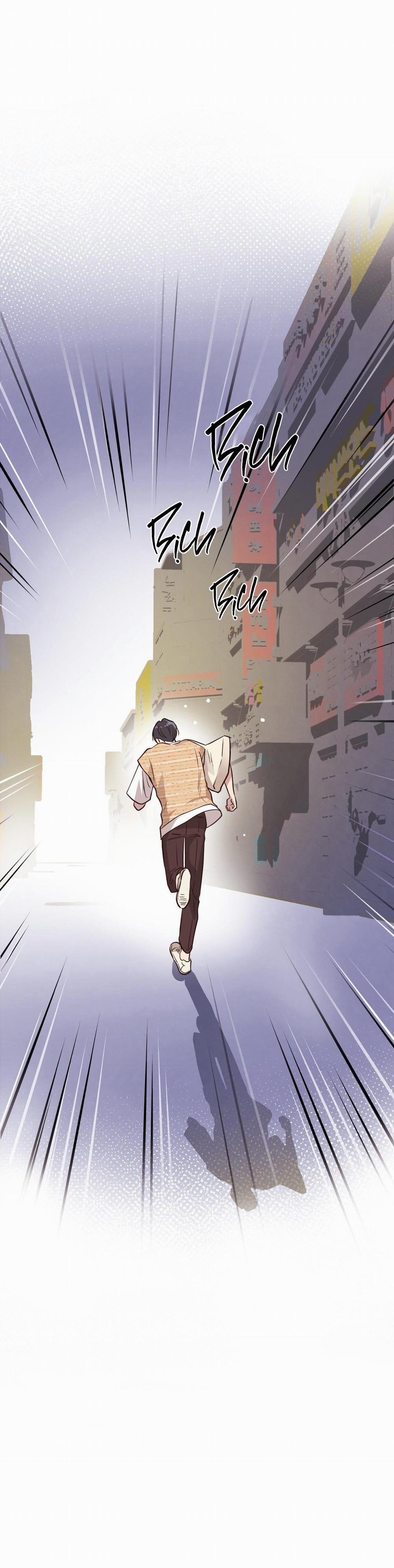 Honey Bear 24 trang 64