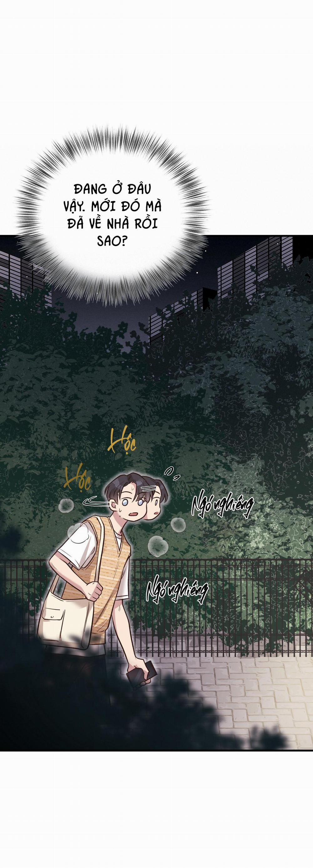 Honey Bear 24 trang 67