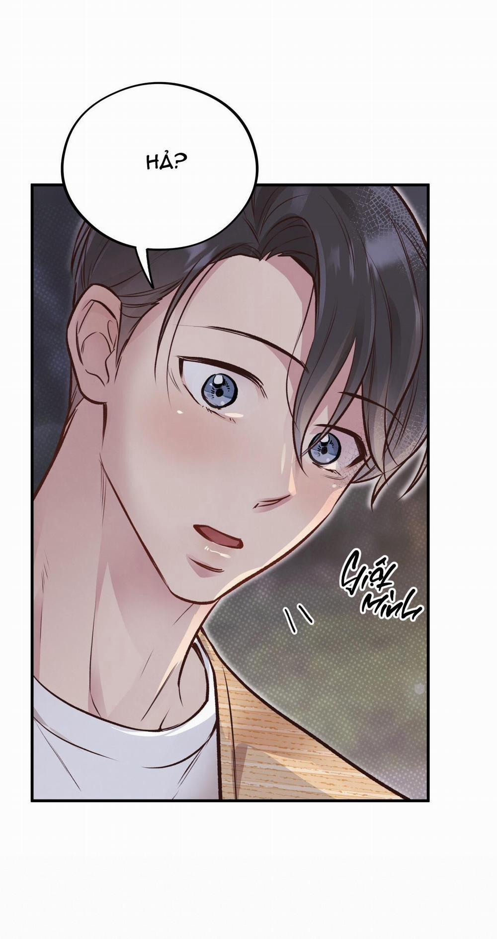 Honey Bear 24 trang 7