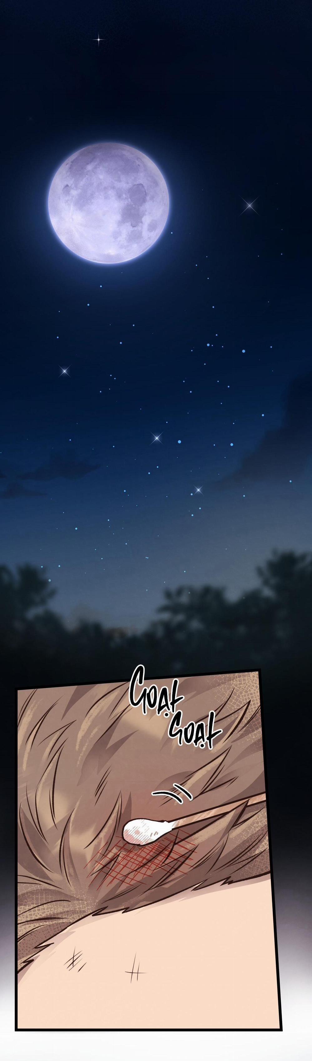 Honey Bear 25 trang 12